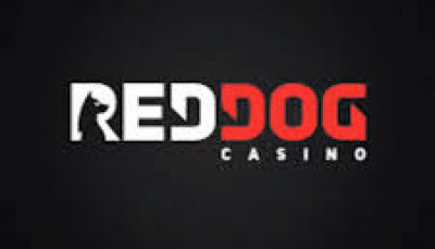 24/7 Casino Bonus: 120% – 185% logo